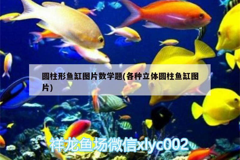 圆柱形鱼缸图片数学题(各种立体圆柱鱼缸图片)