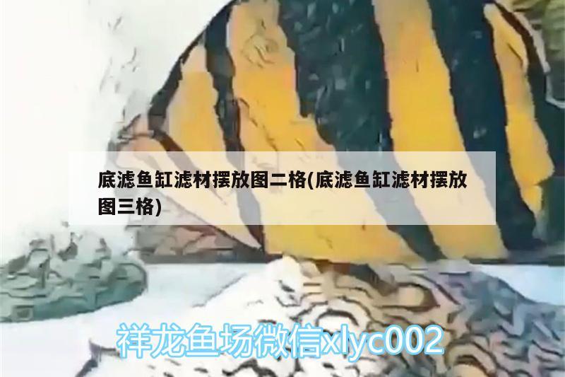 底滤鱼缸滤材摆放图二格(底滤鱼缸滤材摆放图三格) 观赏虾蟹等饲料