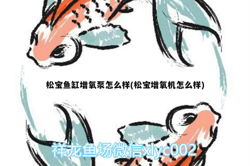 松宝鱼缸增氧泵怎么样(松宝增氧机怎么样) 印尼虎苗