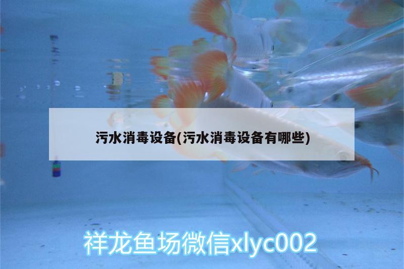 污水消毒设备(污水消毒设备有哪些) 狗仔招财猫鱼