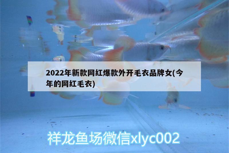 2022年新款网红爆款外开毛衣品牌女(今年的网红毛衣)