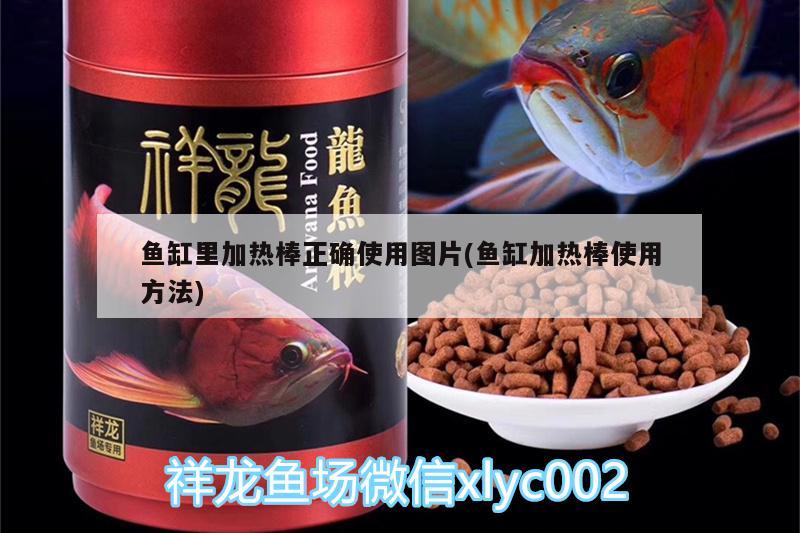 鱼缸里加热棒正确使用图片(鱼缸加热棒使用方法) 喷点菠萝鱼