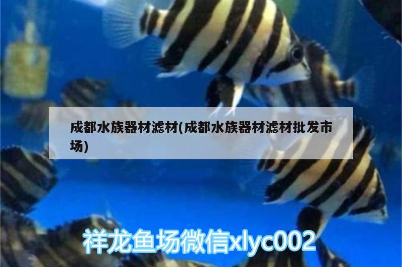 成都水族器材滤材(成都水族器材滤材批发市场)