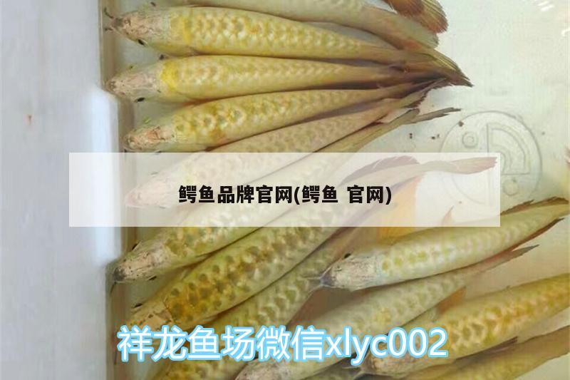 鳄鱼品牌官网(鳄鱼官网) 观赏龟/鳖饲料