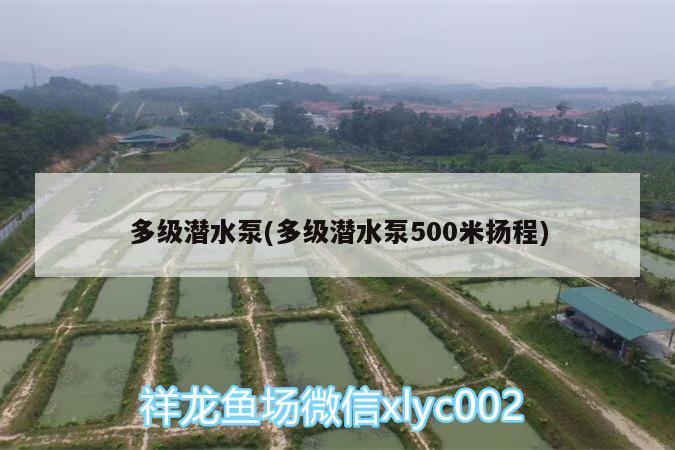 多级潜水泵(多级潜水泵500米扬程)