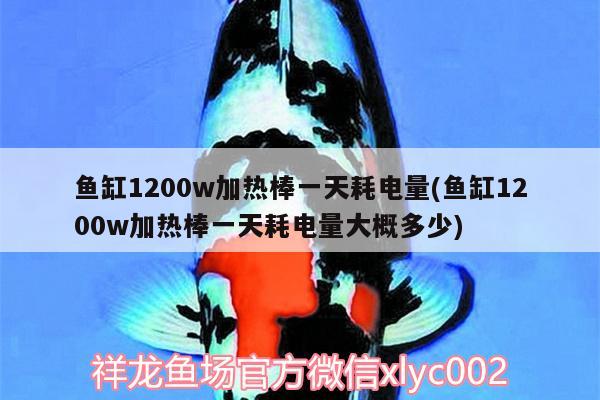 鱼缸1200w加热棒一天耗电量(鱼缸1200w加热棒一天耗电量大概多少) 梦幻雷龙鱼