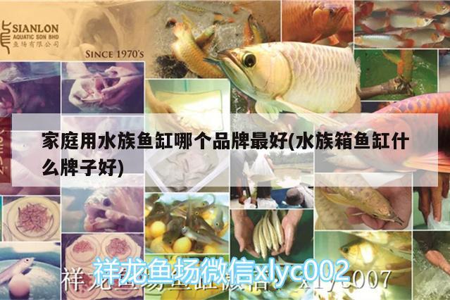 家庭用水族鱼缸哪个品牌最好(水族箱鱼缸什么牌子好) 鱼缸/水族箱