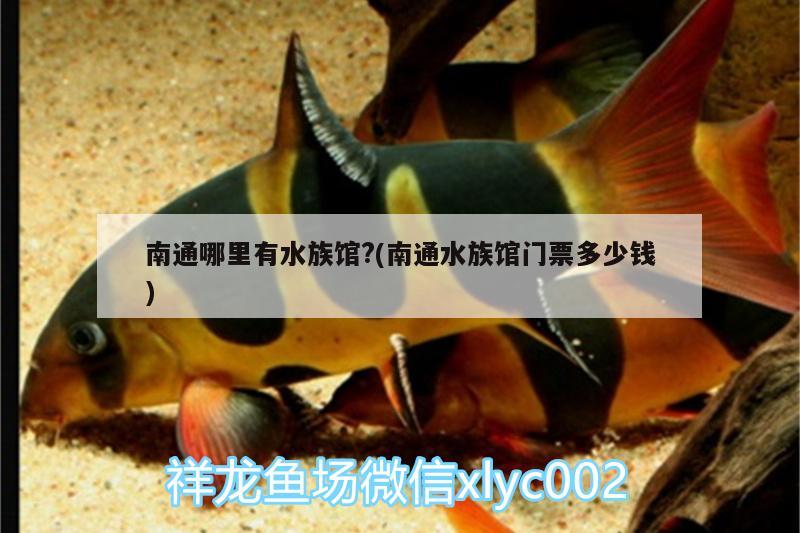 南通哪里有水族馆?(南通水族馆门票多少钱)