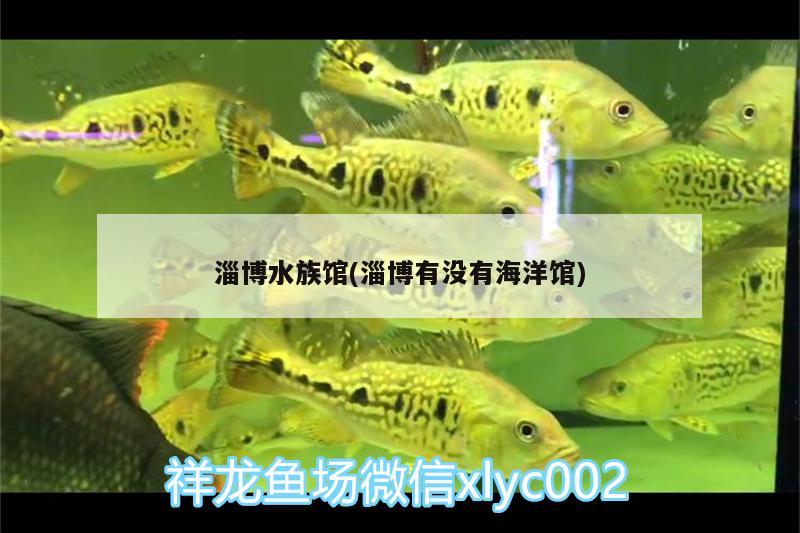 淄博水族馆(淄博有没有海洋馆)