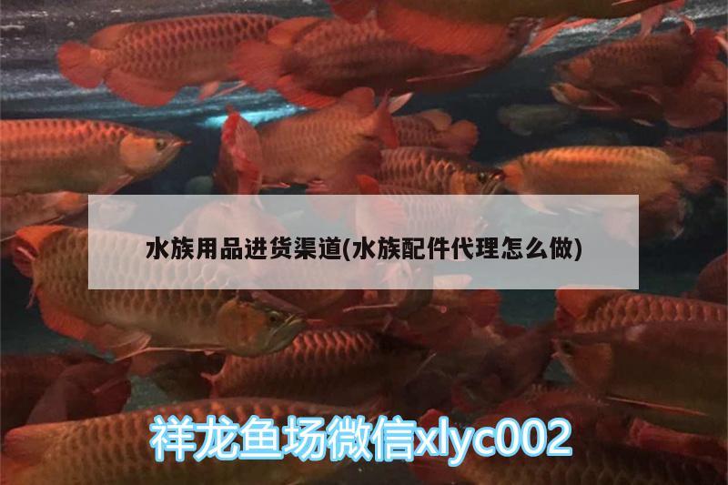 水族用品进货渠道(水族配件代理怎么做) 水族用品