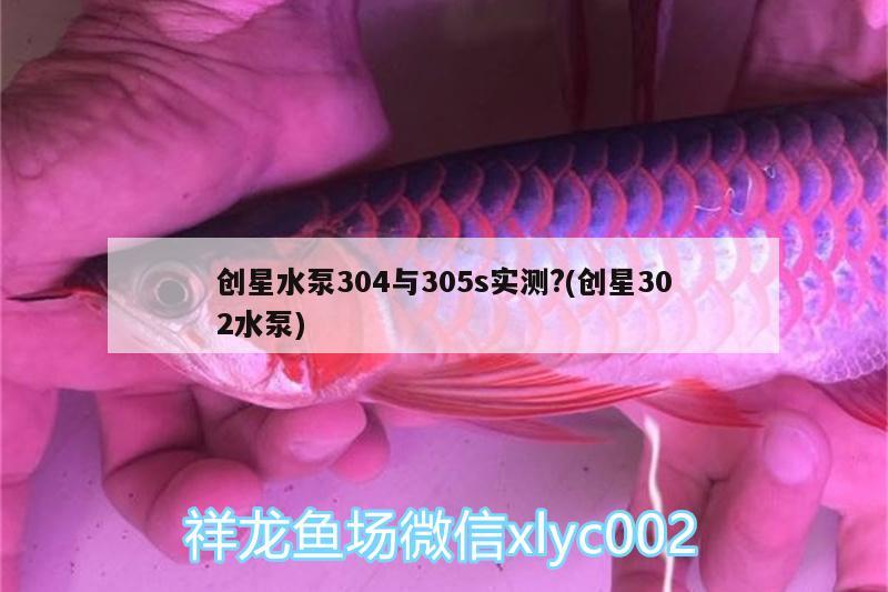 创星水泵304与305s实测?(创星302水泵) 养鱼的好处