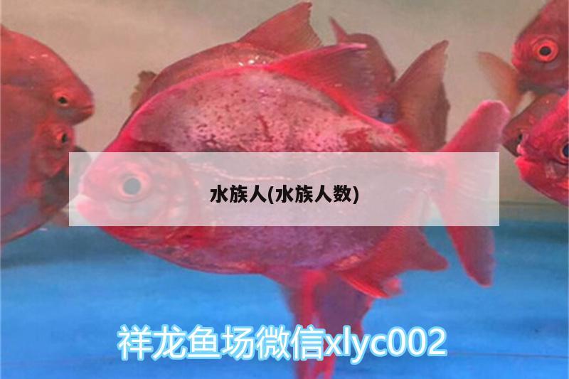 水族人(水族人数)