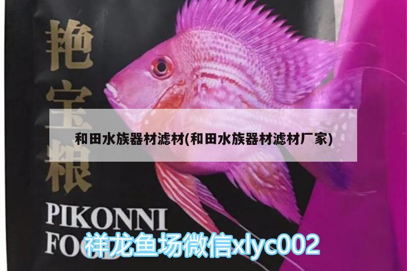 和田水族器材滤材(和田水族器材滤材厂家) 三间鼠鱼 第1张