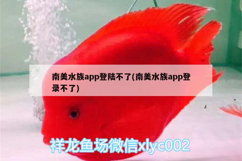 南美水族app登陆不了(南美水族app登录不了)