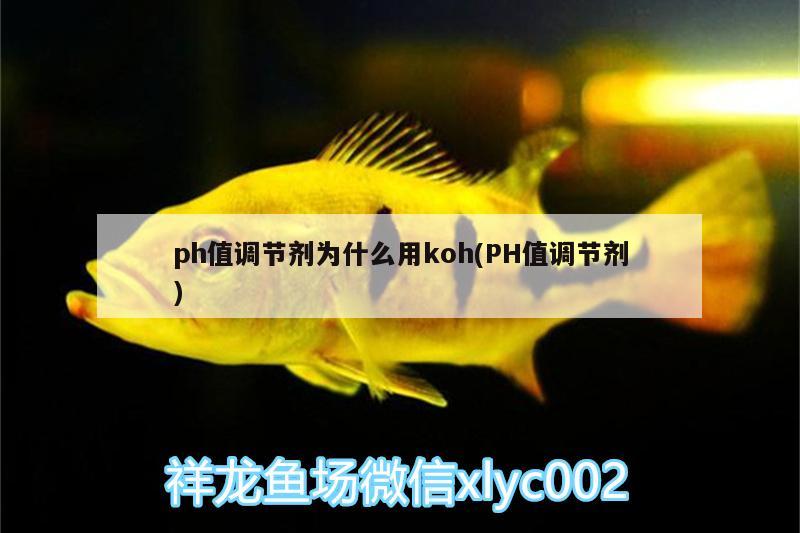 ph值调节剂为什么用koh(PH值调节剂) 黄金达摩鱼