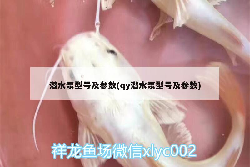 潜水泵型号及参数(qy潜水泵型号及参数)