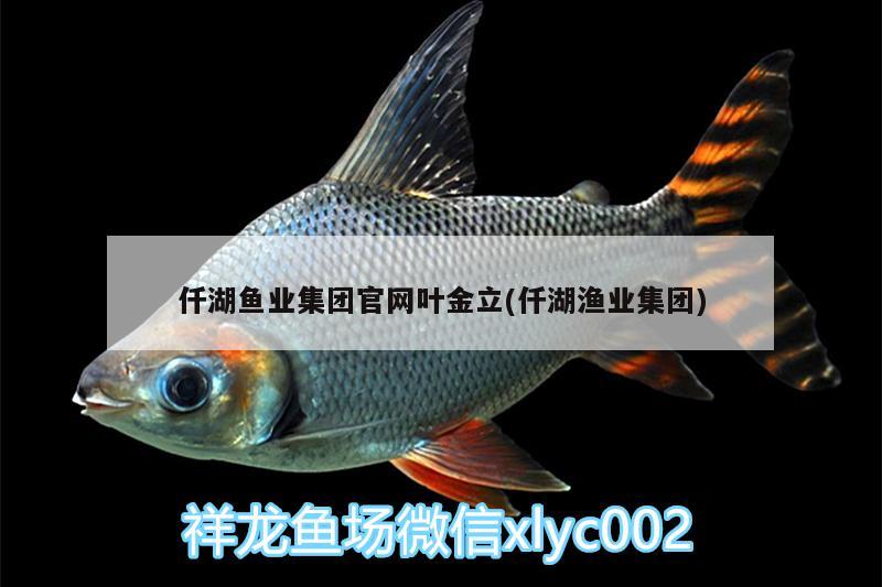 仟湖鱼业集团官网叶金立(仟湖渔业集团) 仟湖