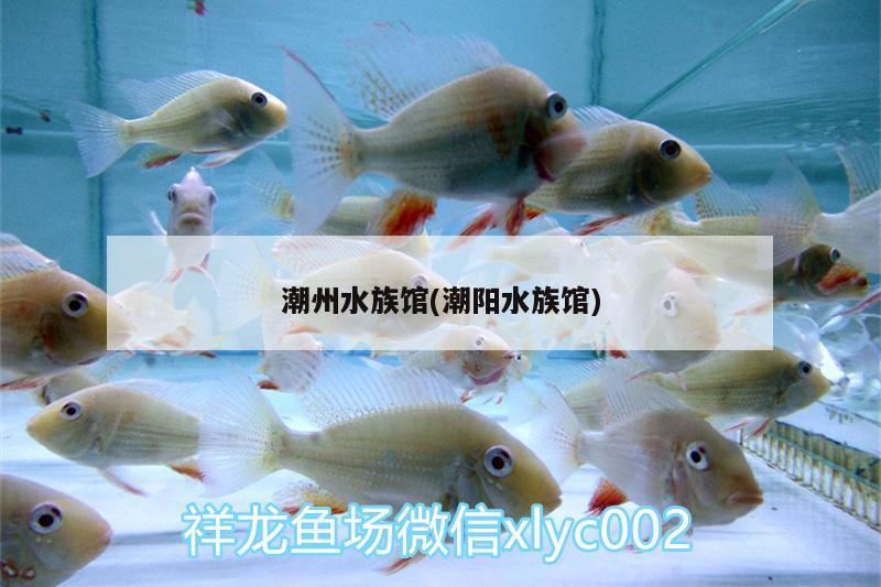 潮州水族馆(潮阳水族馆)