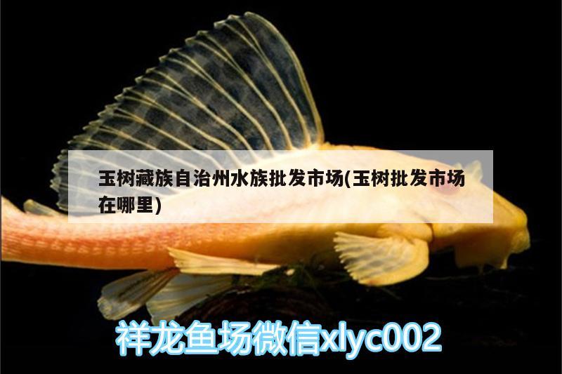 玉树藏族自治州水族批发市场(玉树批发市场在哪里) 观赏鱼水族批发市场