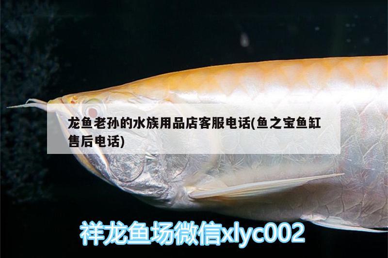 龙鱼老孙的水族用品店客服电话(鱼之宝鱼缸售后电话) 水族用品