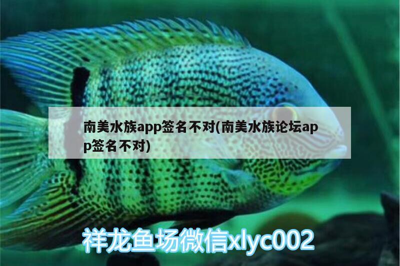 南美水族app签名不对(南美水族论坛app签名不对)