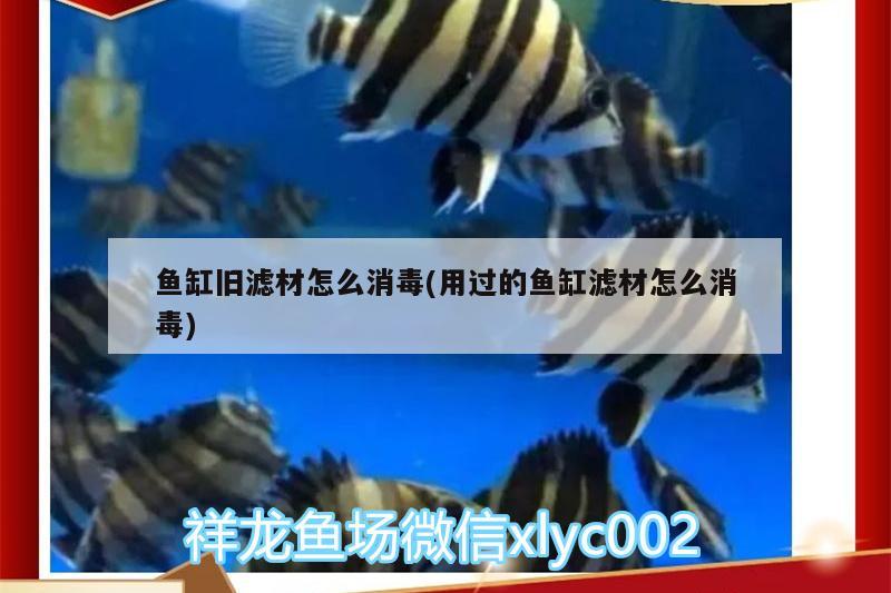 鱼缸旧滤材怎么消毒(用过的鱼缸滤材怎么消毒) BD魟鱼