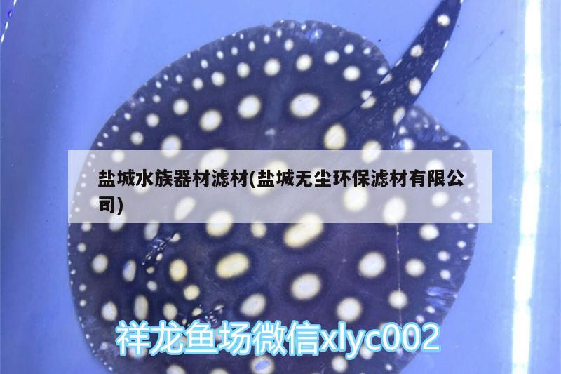 盐城水族器材滤材(盐城无尘环保滤材有限公司) 祥龙水族护理水