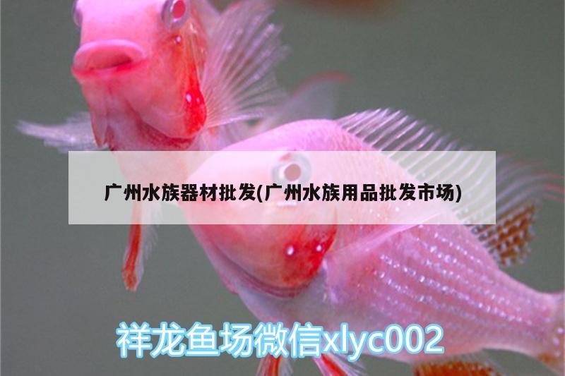 广州水族器材批发(广州水族用品批发市场) 水族用品 第2张