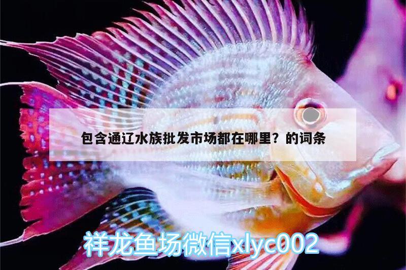 包含通辽水族批发市场都在哪里？的词条