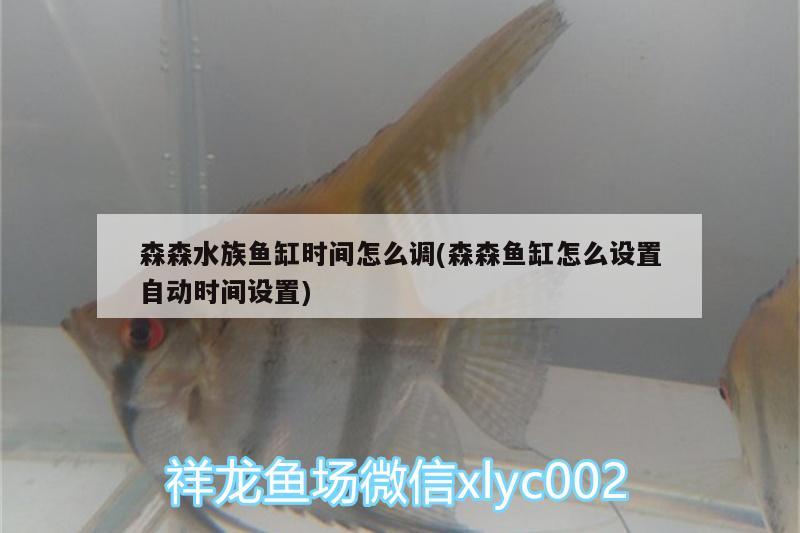 森森水族鱼缸时间怎么调(森森鱼缸怎么设置自动时间设置) 鱼缸风水