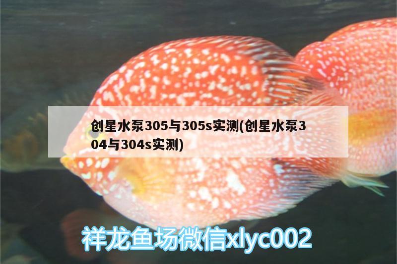 创星水泵305与305s实测(创星水泵304与304s实测) 蓝帆三间鱼