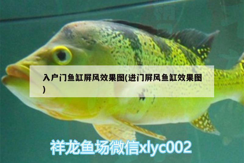 入户门鱼缸屏风效果图(进门屏风鱼缸效果图) 鱼缸等水族设备