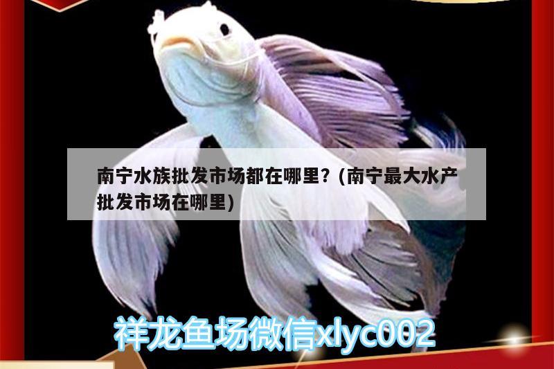 南宁水族批发市场都在哪里？(南宁最大水产批发市场在哪里) 观赏鱼水族批发市场