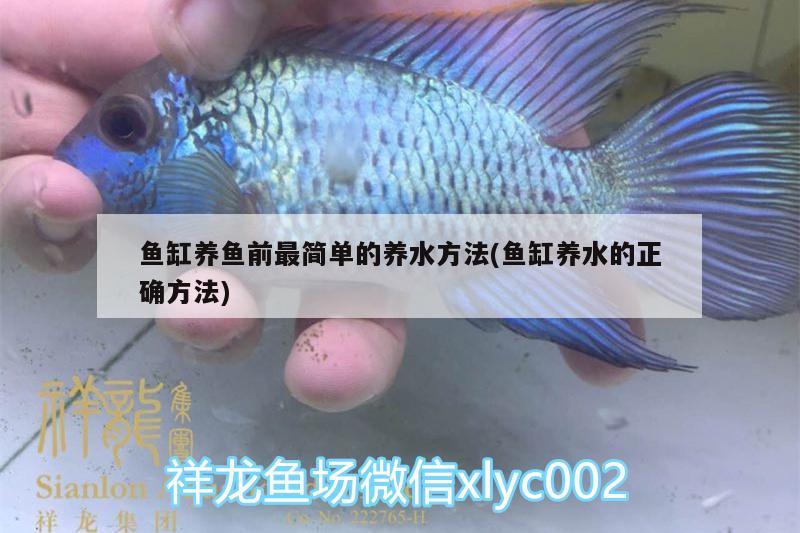 鱼缸养鱼前最简单的养水方法(鱼缸养水的正确方法) 金龙鱼百科