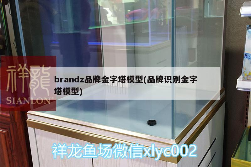 brandz品牌金字塔模型(品牌识别金字塔模型)