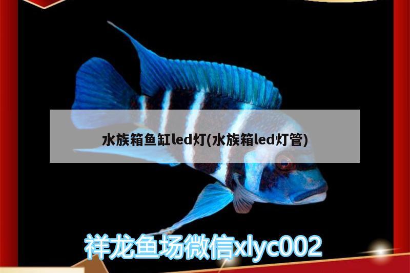 水族箱鱼缸led灯(水族箱led灯管)