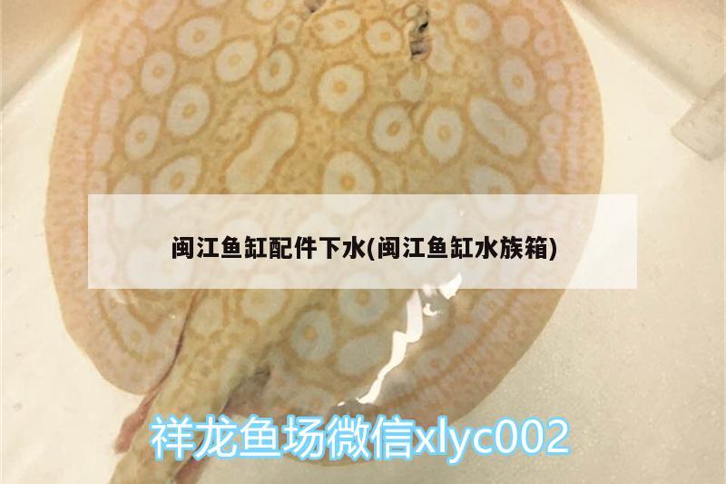 闽江鱼缸配件下水(闽江鱼缸水族箱) 鱼缸/水族箱