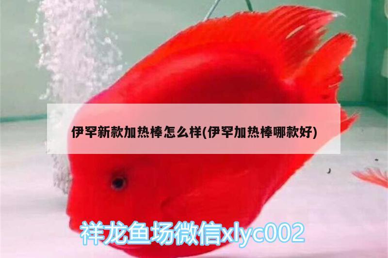 伊罕新款加热棒怎么样(伊罕加热棒哪款好)