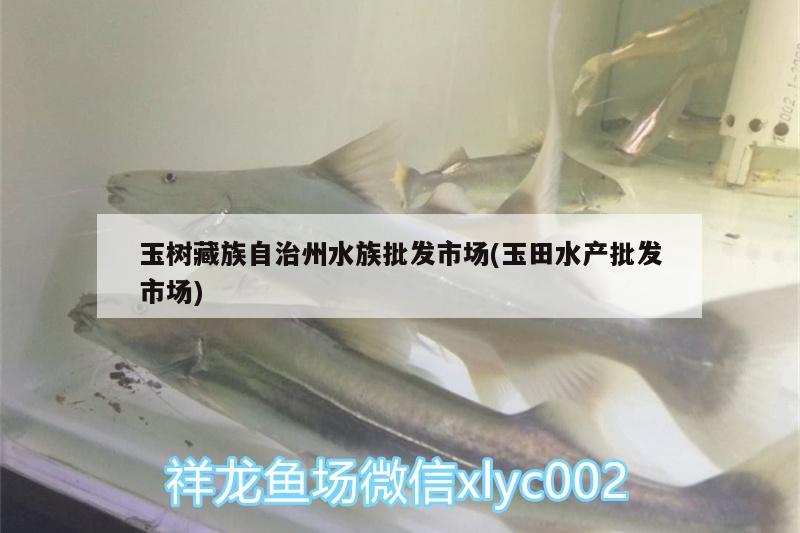 玉树藏族自治州水族批发市场(玉田水产批发市场) 观赏鱼水族批发市场