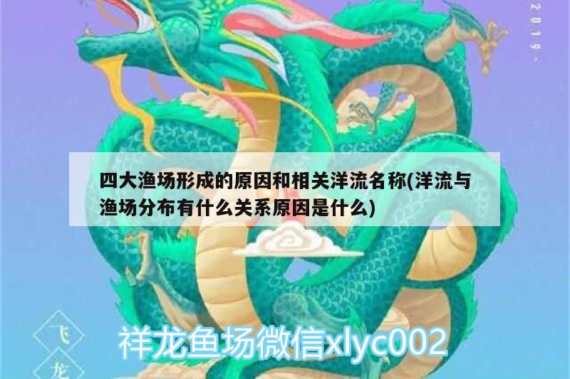 四大渔场形成的原因和相关洋流名称(洋流与渔场分布有什么关系原因是什么) 慈雕鱼