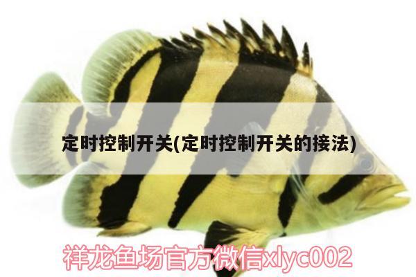 定时控制开关(定时控制开关的接法) 鱼缸等水族设备