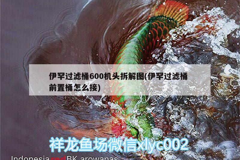 伊罕过滤桶600机头拆解图(伊罕过滤桶前置桶怎么接)