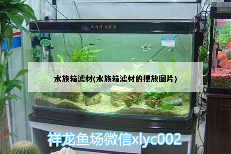 水族箱滤材(水族箱滤材的摆放图片) 鱼缸/水族箱