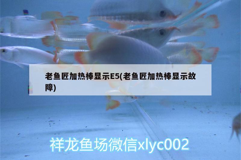 老鱼匠加热棒显示E5(老鱼匠加热棒显示故障)