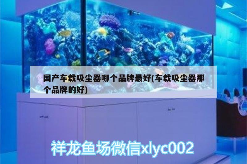 国产车载吸尘器哪个品牌最好(车载吸尘器那个品牌的好)