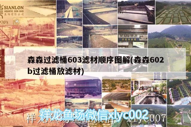 森森过滤桶603滤材顺序图解(森森602b过滤桶放滤材) 细线银版鱼