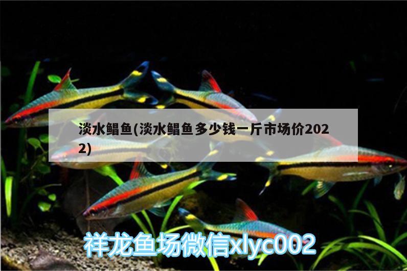 淡水鲳鱼(淡水鲳鱼多少钱一斤市场价2022)