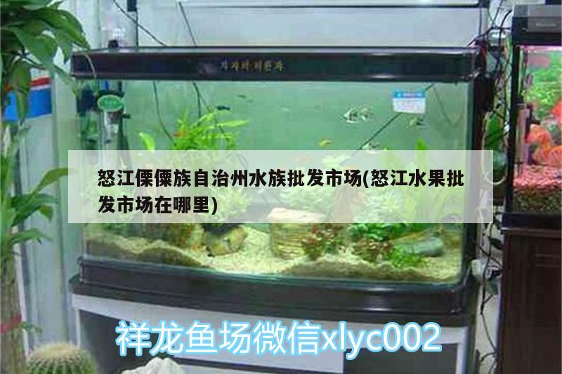 怒江傈僳族自治州水族批发市场(怒江水果批发市场在哪里) 观赏鱼水族批发市场