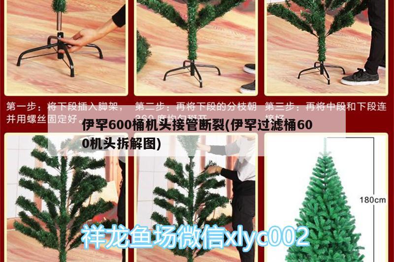 伊罕600桶机头接管断裂(伊罕过滤桶600机头拆解图)