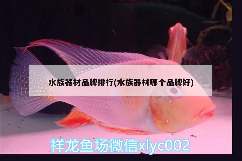 水族器材品牌排行(水族器材哪个品牌好)